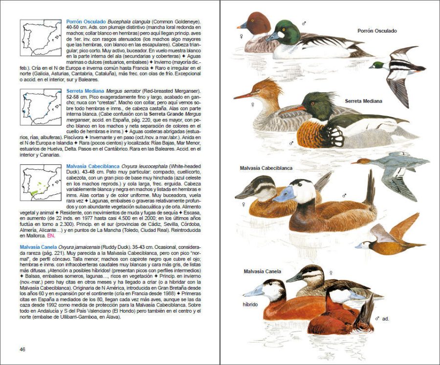 Aves de España sample page